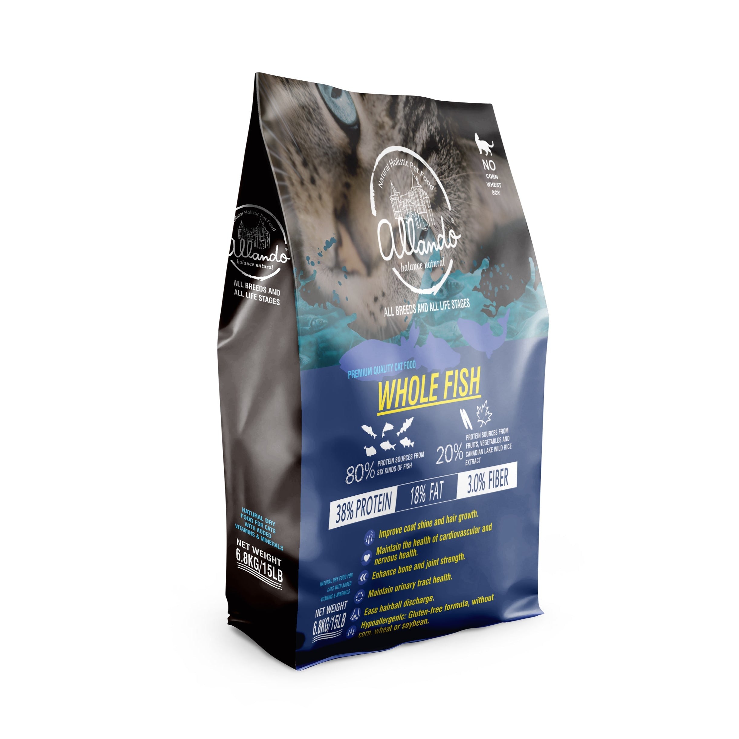 【Allando奧藍多】全魚宴