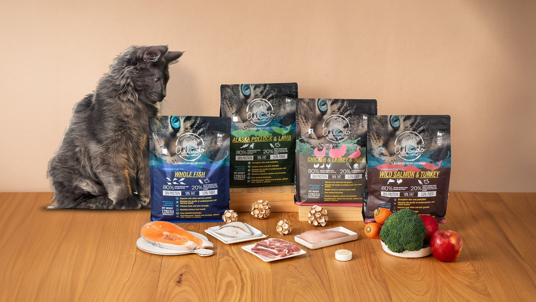 《從源頭到餐盤：奧藍多的嚴選好原料》