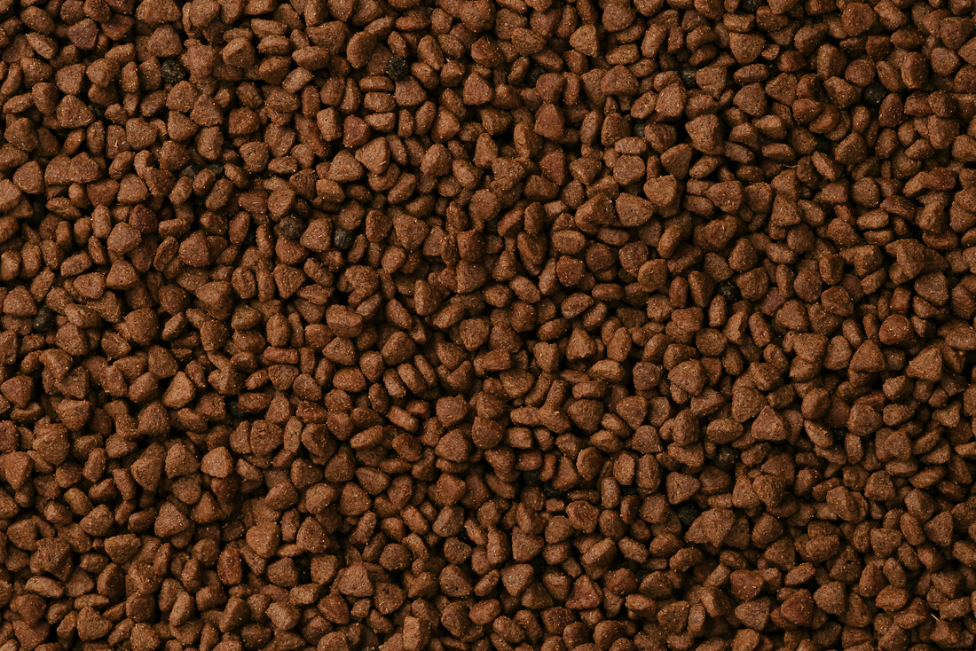 同款飼料為什麼顆粒大小和顏色會有差異呢?