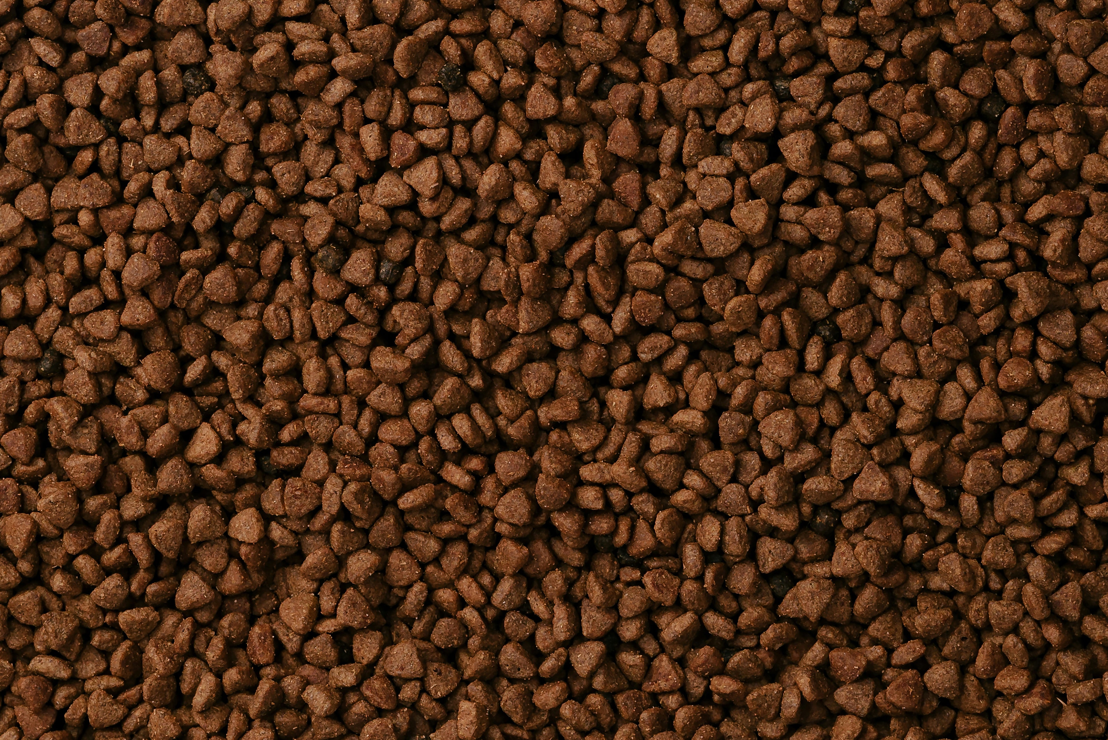 同款飼料為什麼顆粒大小和顏色會有差異呢?