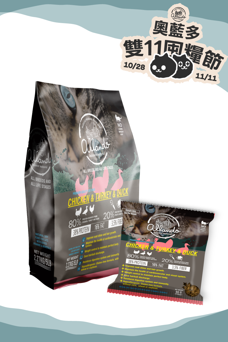 1111 限時買大送小組合