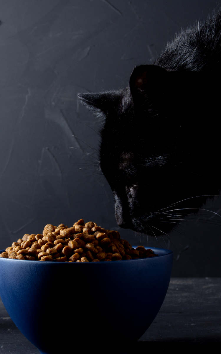 天然全方位無穀乾糧™