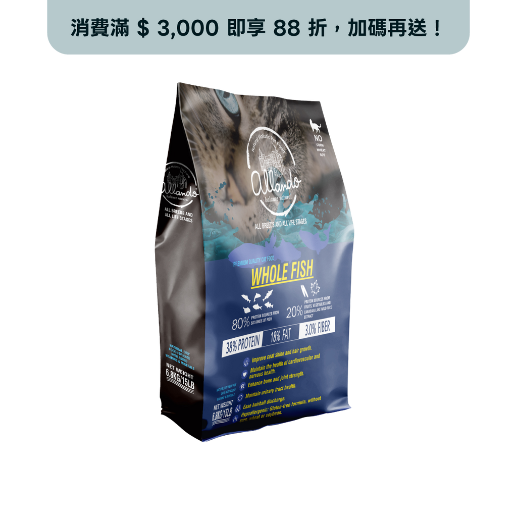 【Allando奧藍多】全魚宴